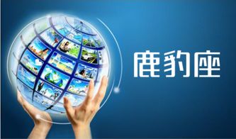 網(wǎng)絡(luò)營(yíng)銷策劃 信息網(wǎng)絡(luò)經(jīng)營(yíng)游戲產(chǎn)品的多元化方法與實(shí)戰(zhàn)策略